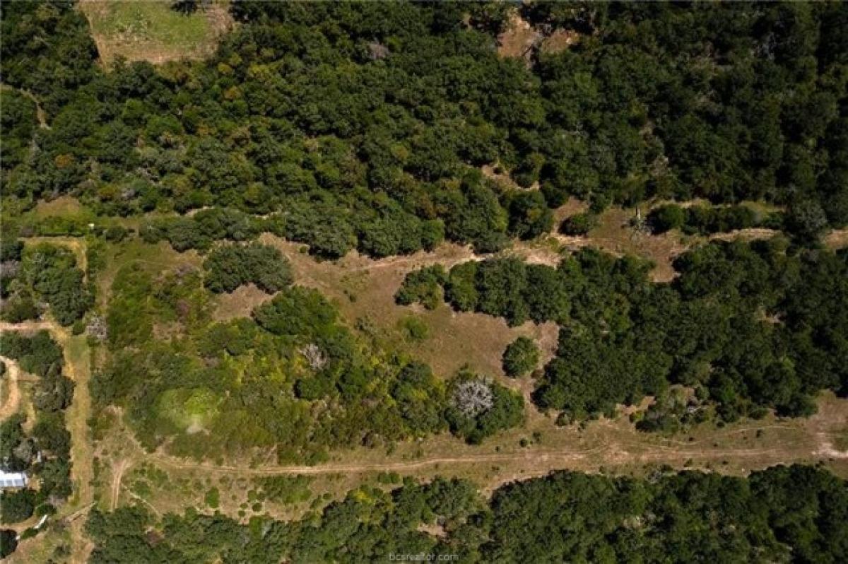 Picture of Residential Land For Sale in Navasota, Texas, United States