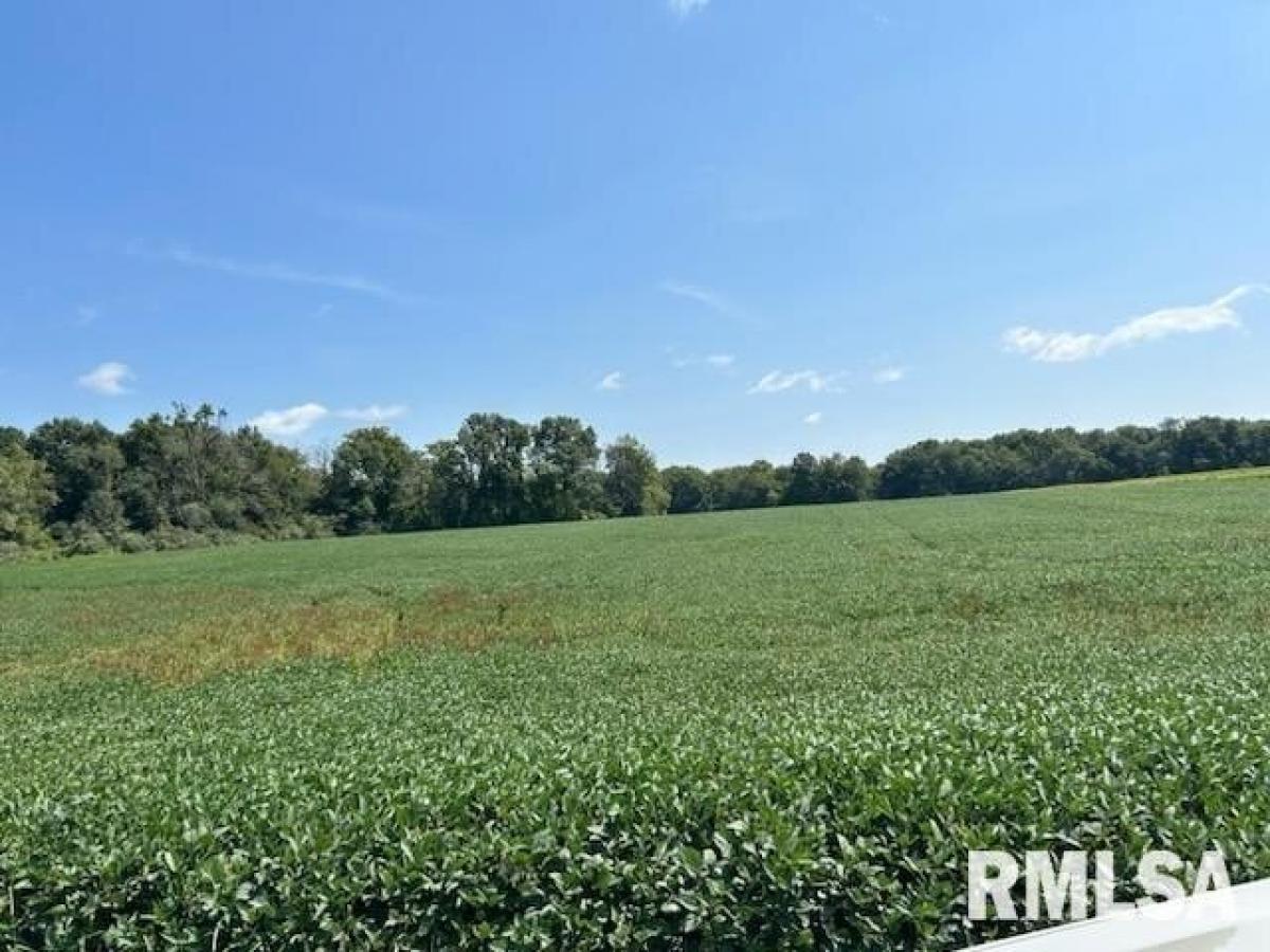 Picture of Residential Land For Sale in Rochester, Illinois, United States