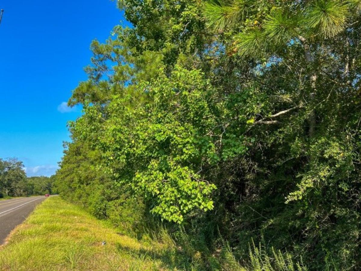 Picture of Residential Land For Sale in Vidor, Texas, United States