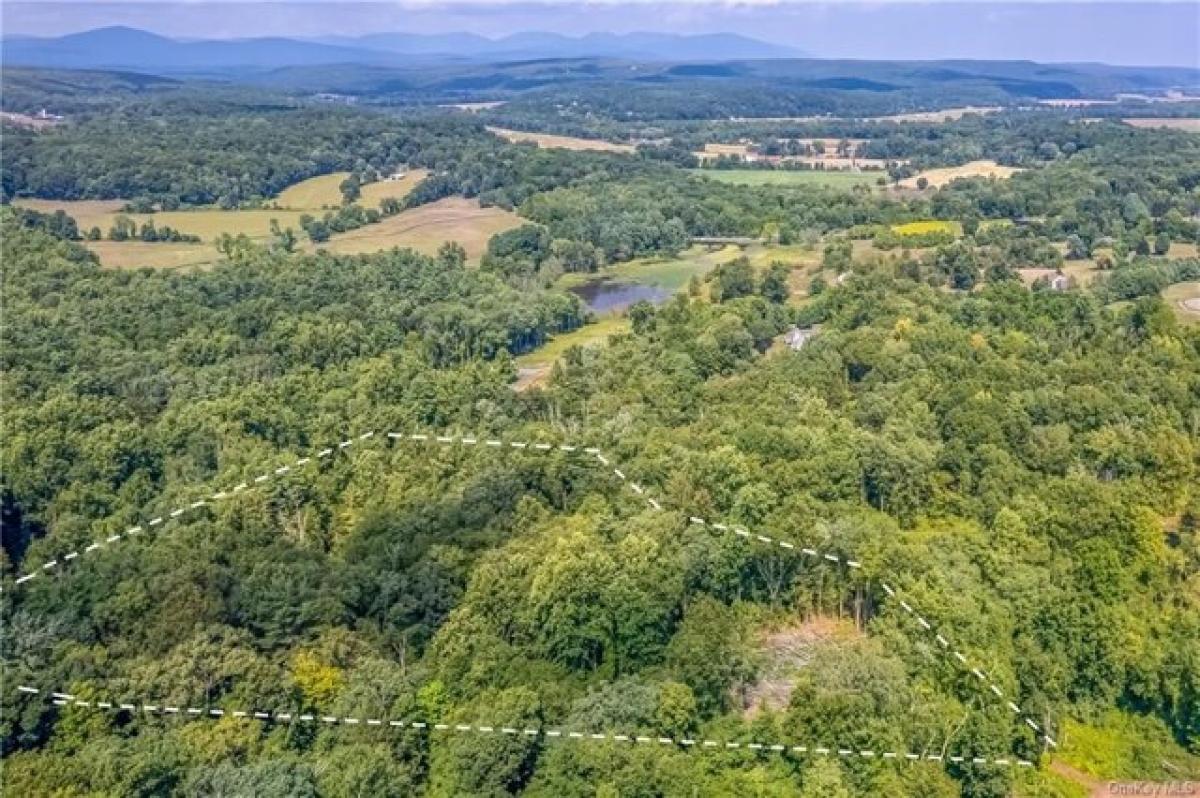 Picture of Residential Land For Sale in Stone Ridge, New York, United States