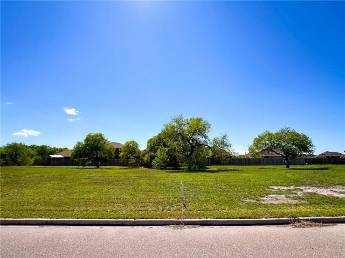 Picture of Residential Land For Sale in Kingsville, Texas, United States