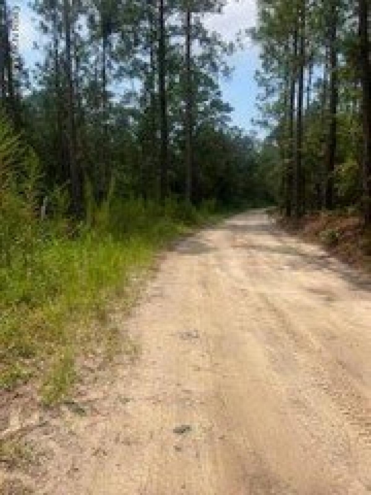 Picture of Residential Land For Sale in Bolivia, North Carolina, United States