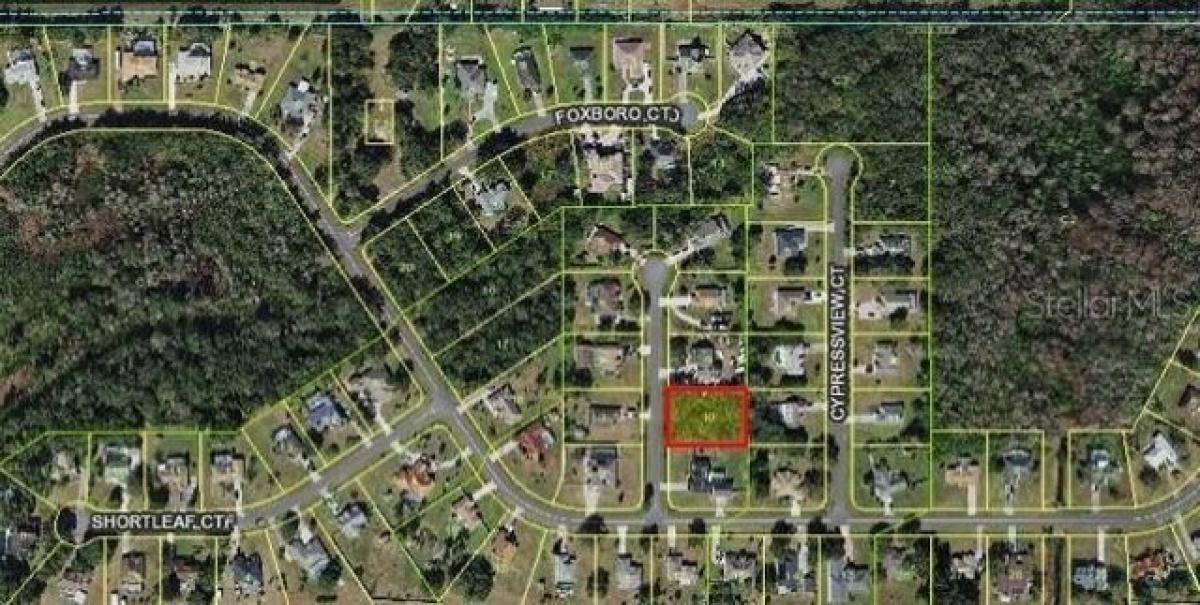 Picture of Residential Land For Sale in Kissimmee, Florida, United States