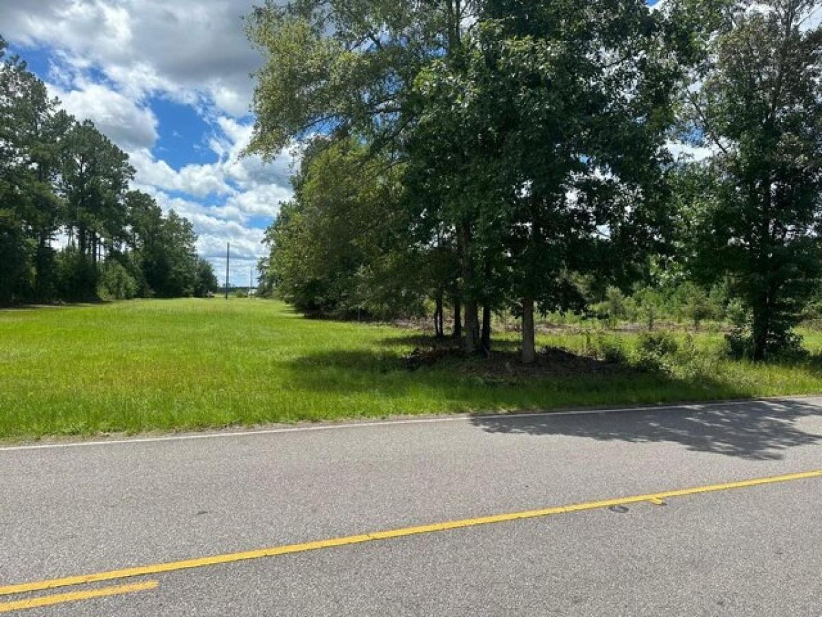 Picture of Residential Land For Sale in Early Branch, South Carolina, United States