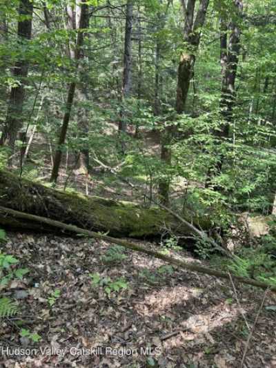 Residential Land For Sale in Napanoch, New York