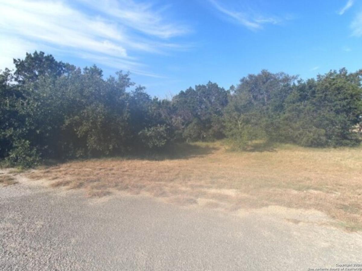 Picture of Residential Land For Sale in Mico, Texas, United States