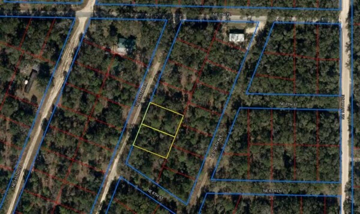 Picture of Residential Land For Sale in Williston, Florida, United States