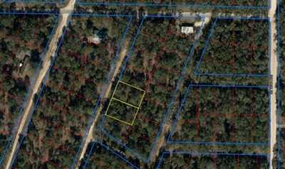 Residential Land For Sale in Williston, Florida