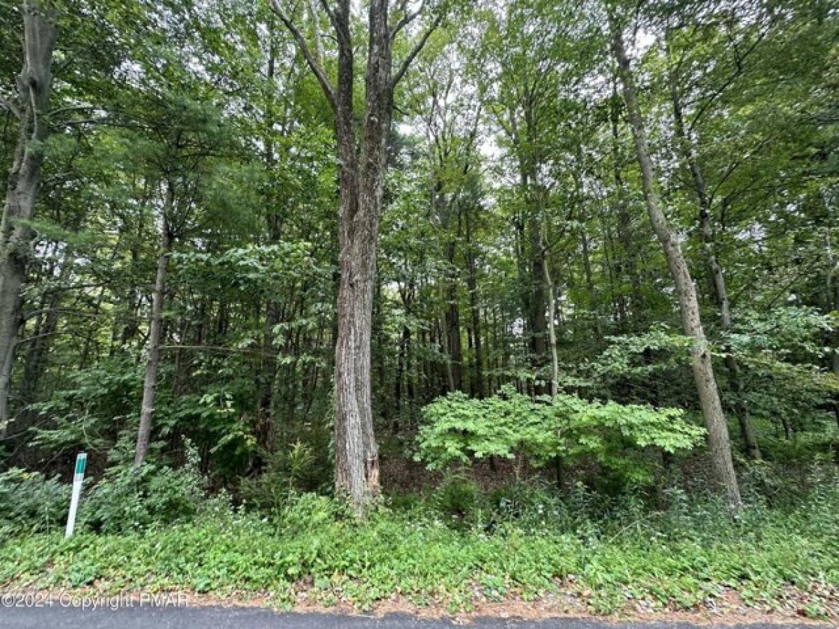 Picture of Residential Land For Sale in Blakeslee, Pennsylvania, United States