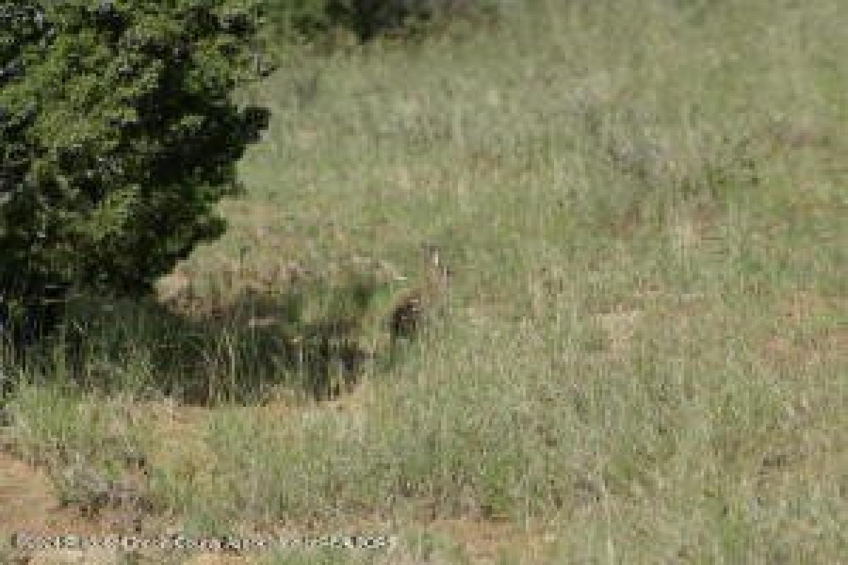 Picture of Residential Land For Sale in Carrizozo, New Mexico, United States