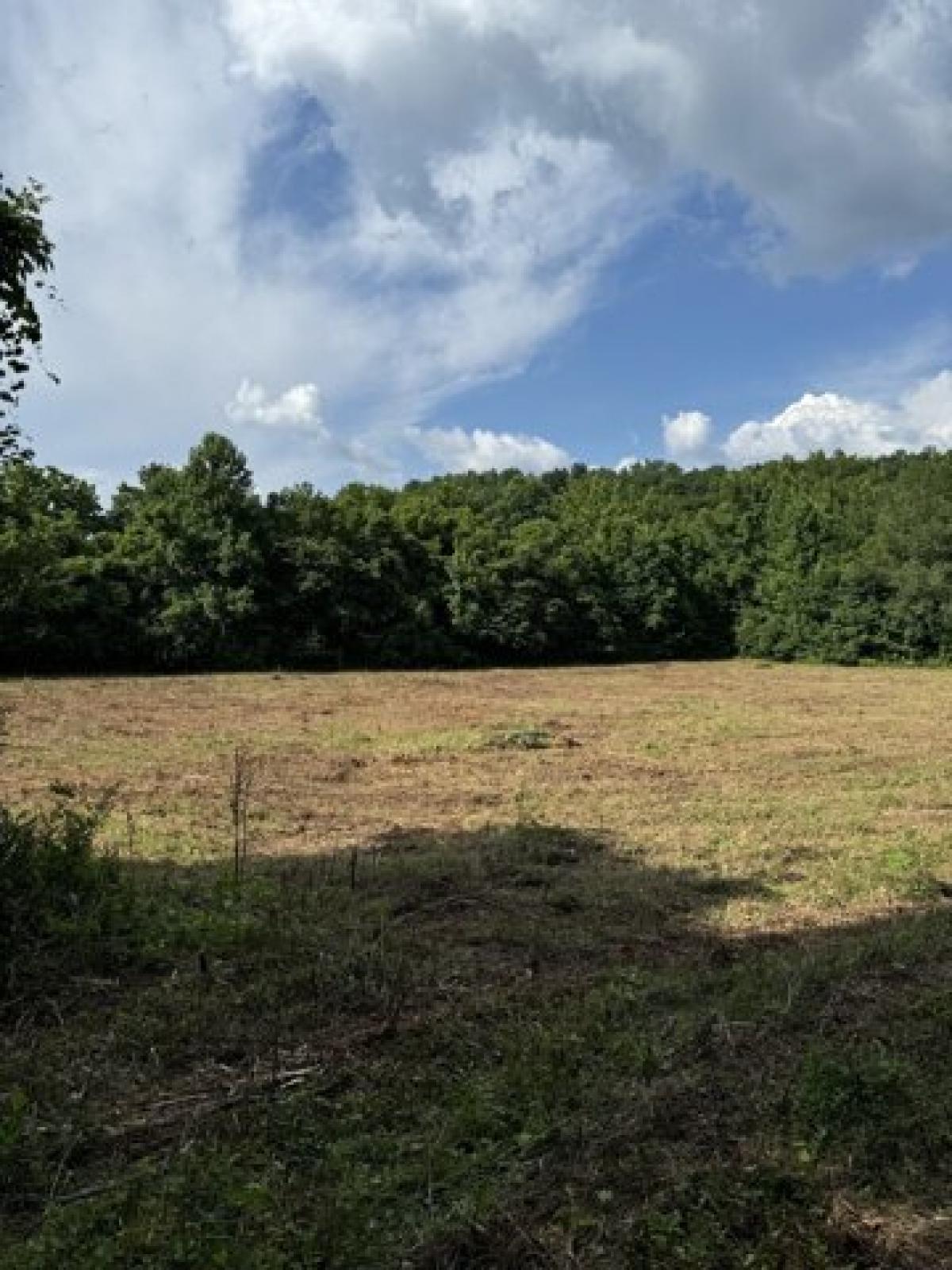 Picture of Residential Land For Sale in Waverly, Tennessee, United States