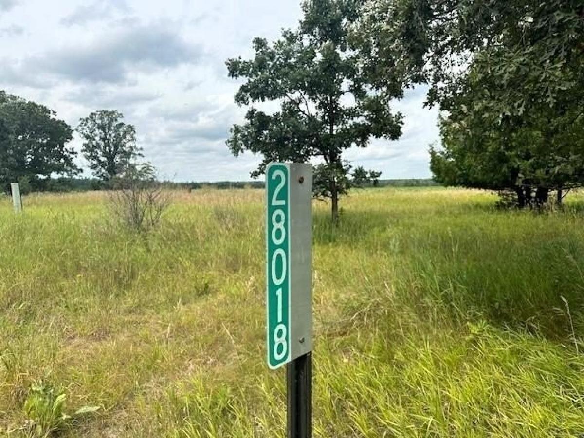 Picture of Residential Land For Sale in Staples, Minnesota, United States