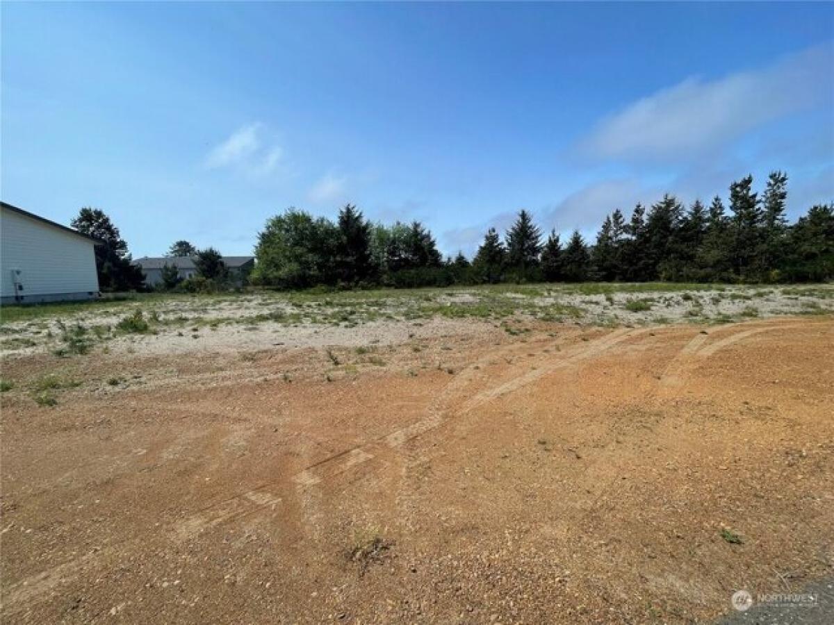 Picture of Residential Land For Sale in Ocean Shores, Washington, United States