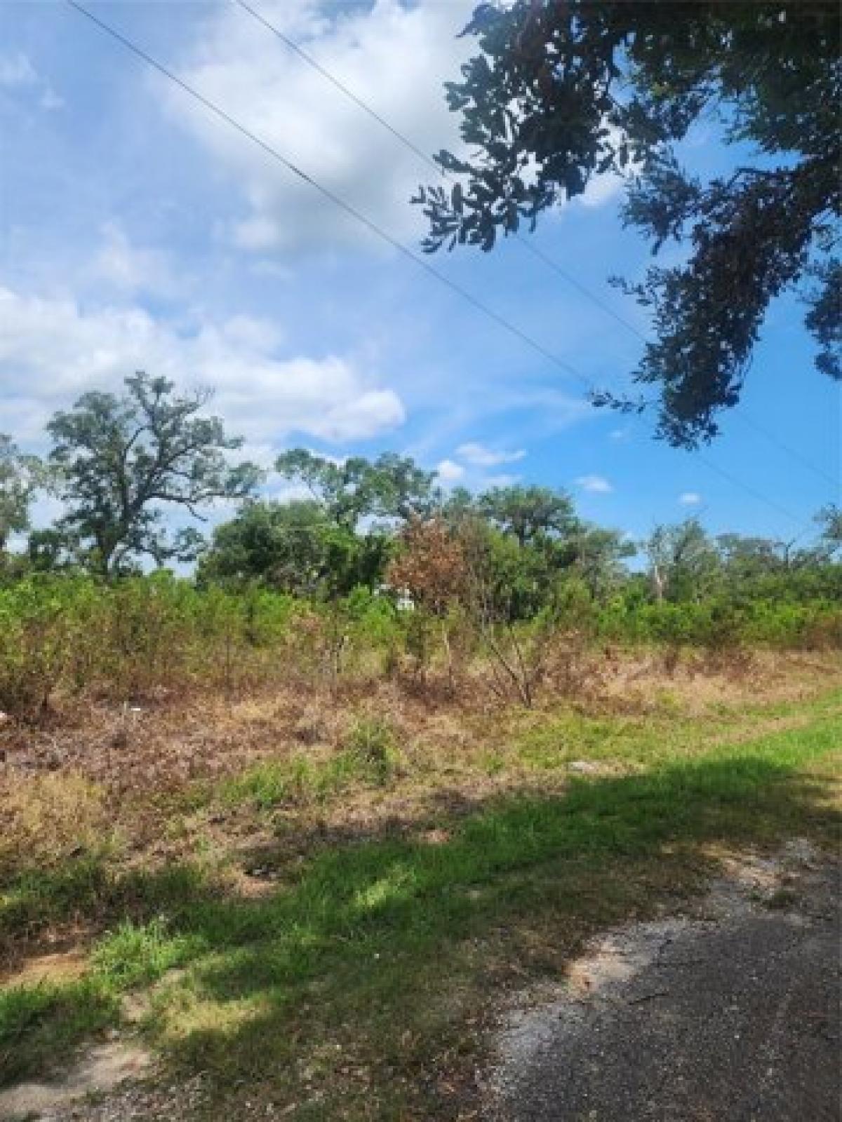 Picture of Residential Land For Sale in Brazoria, Texas, United States