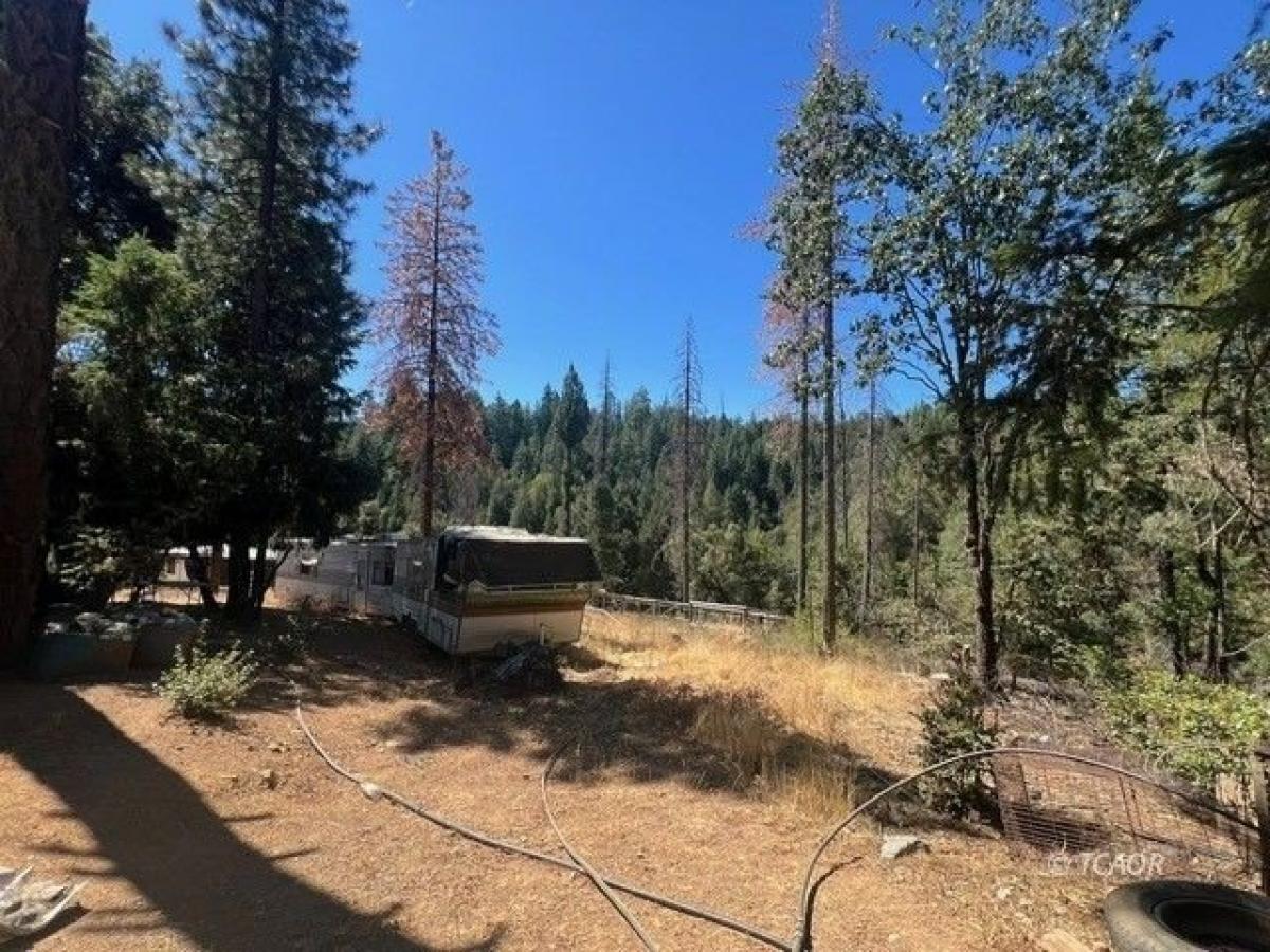 Picture of Residential Land For Sale in Hayfork, California, United States