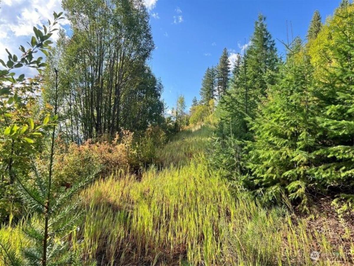 Picture of Residential Land For Sale in Leavenworth, Washington, United States