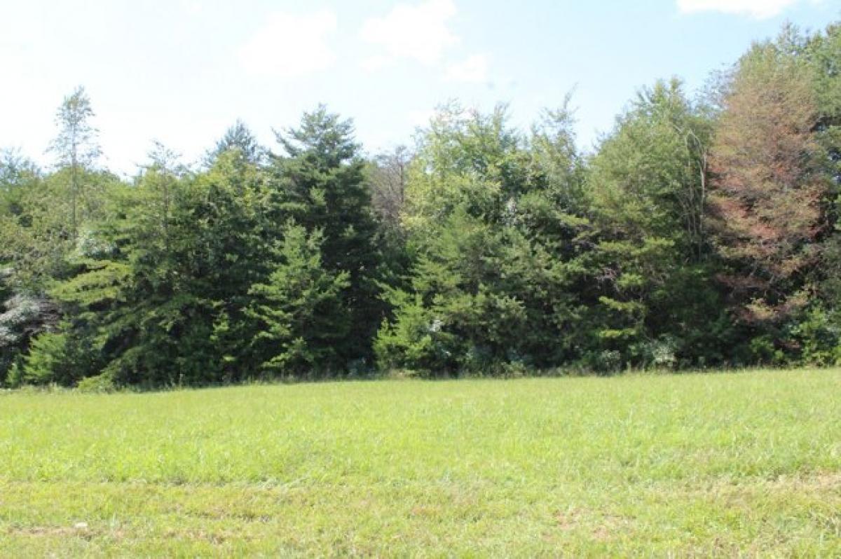 Picture of Residential Land For Sale in Mcminnville, Tennessee, United States