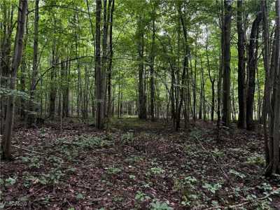 Residential Land For Sale in Kingsville, Ohio