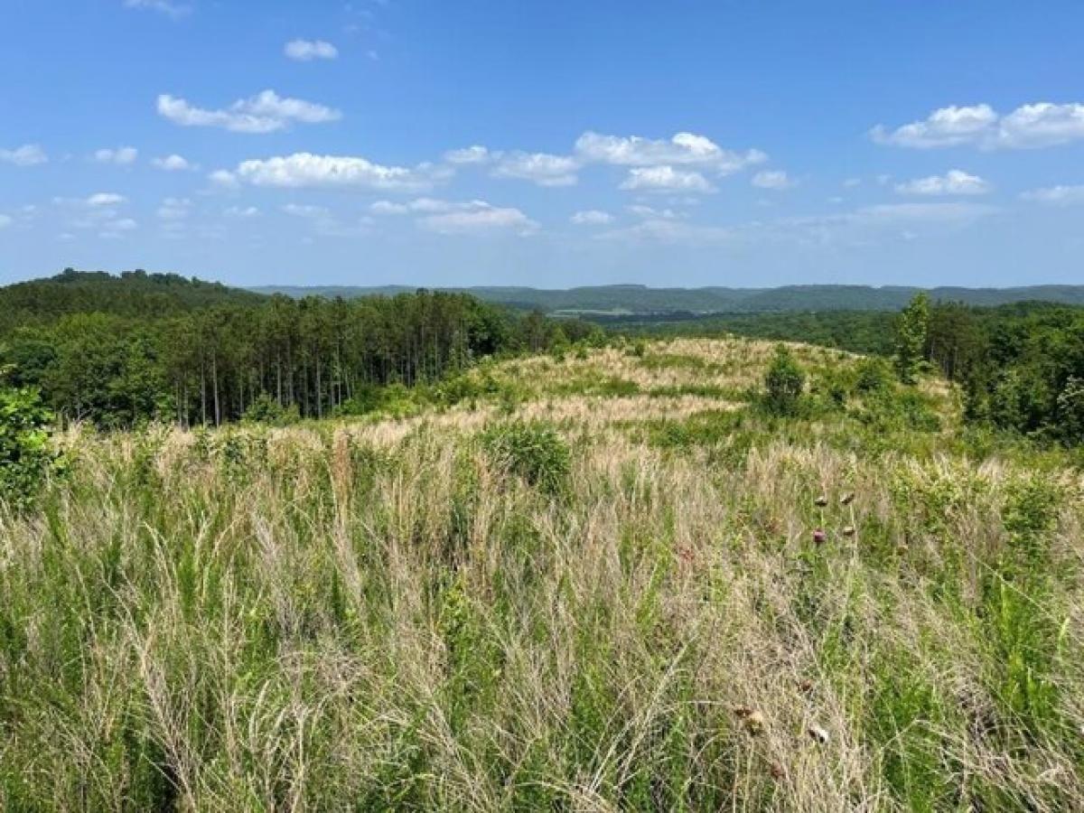 Picture of Residential Land For Sale in Athens, Tennessee, United States