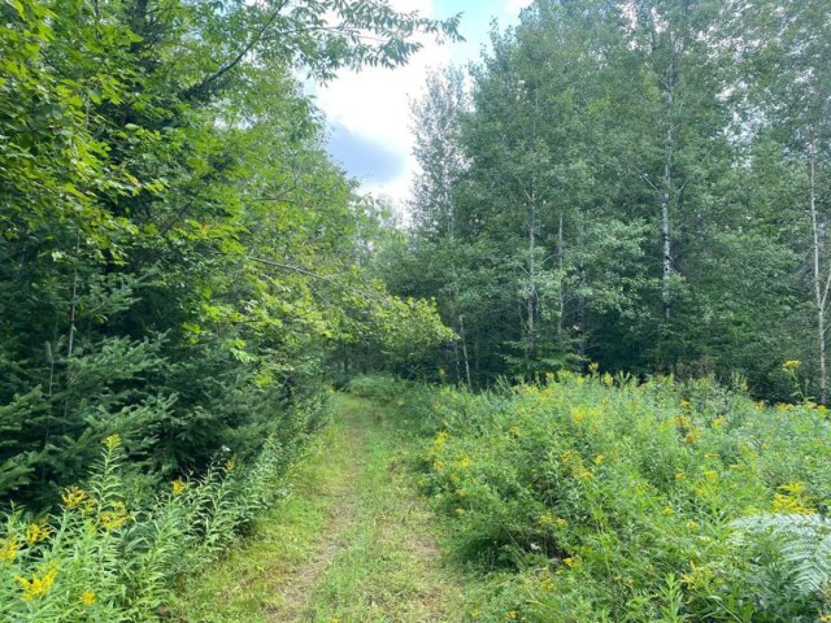 Picture of Residential Land For Sale in Park Falls, Wisconsin, United States