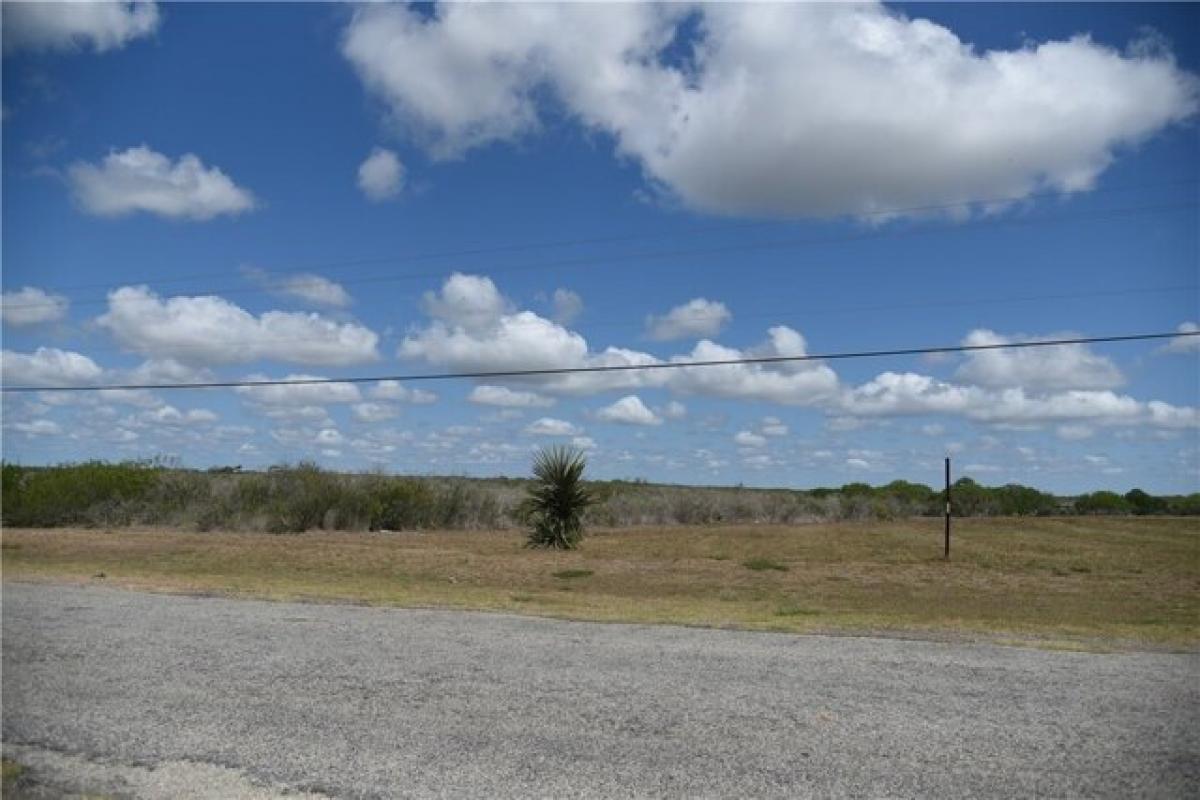 Picture of Residential Land For Sale in Sandia, Texas, United States