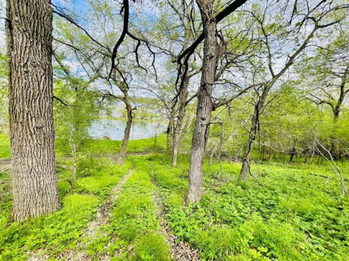 Picture of Residential Land For Sale in Wilmot, South Dakota, United States