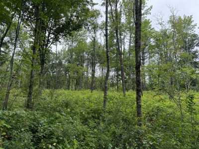 Residential Land For Sale in Washington, Maine