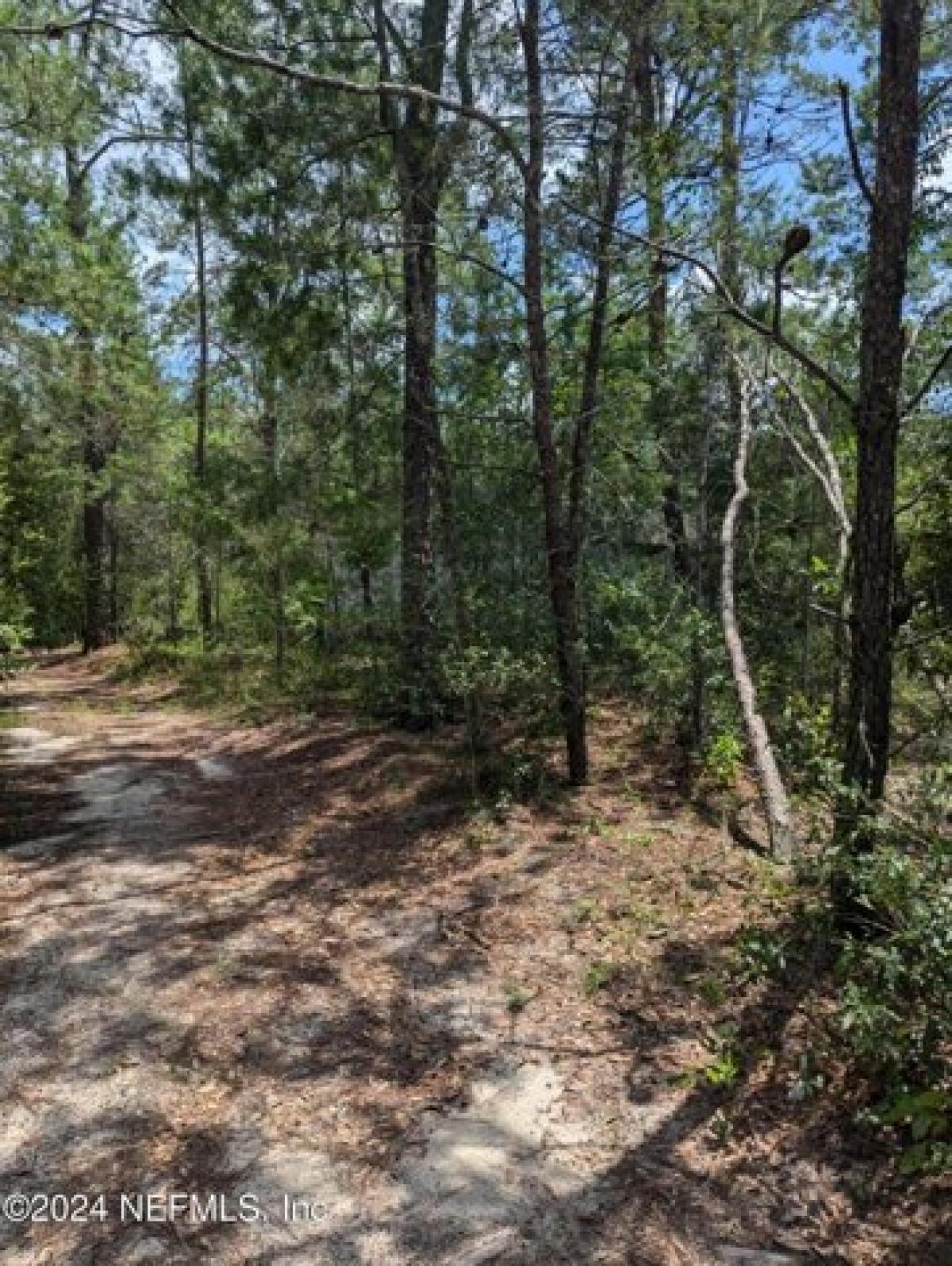 Picture of Residential Land For Sale in Florahome, Florida, United States