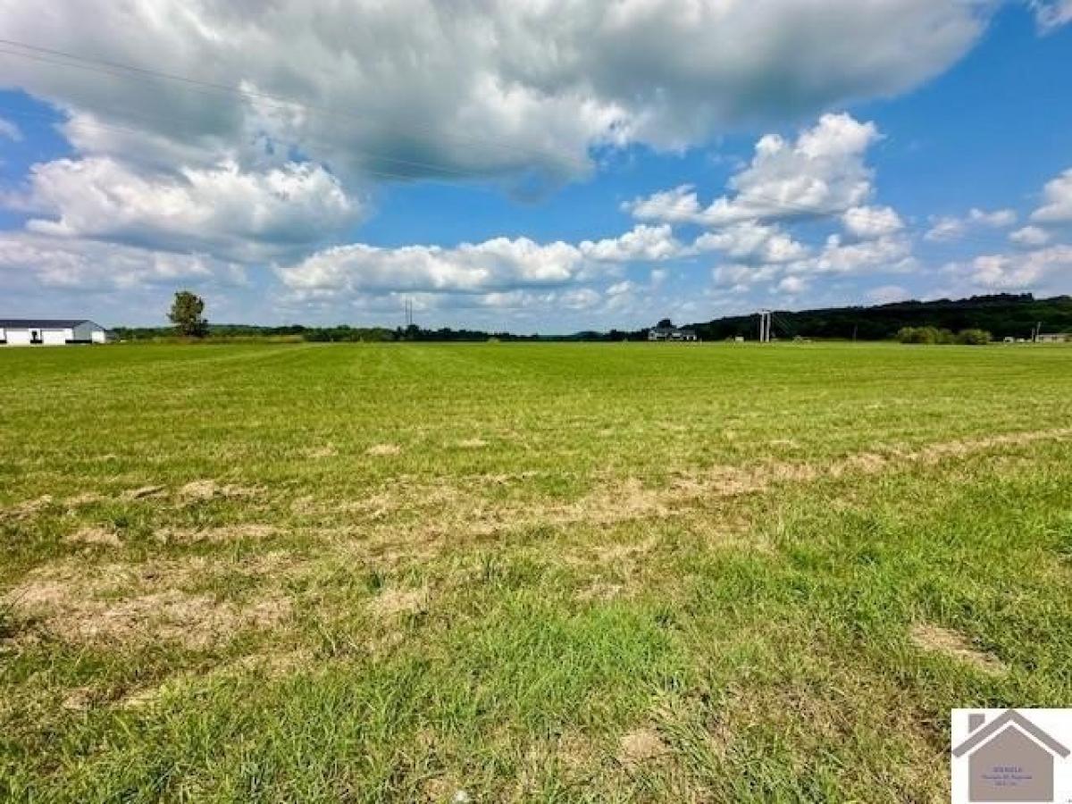 Picture of Residential Land For Sale in Smithland, Kentucky, United States