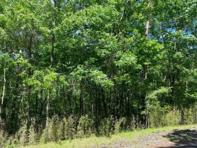 Residential Land For Sale in Coldspring, Texas