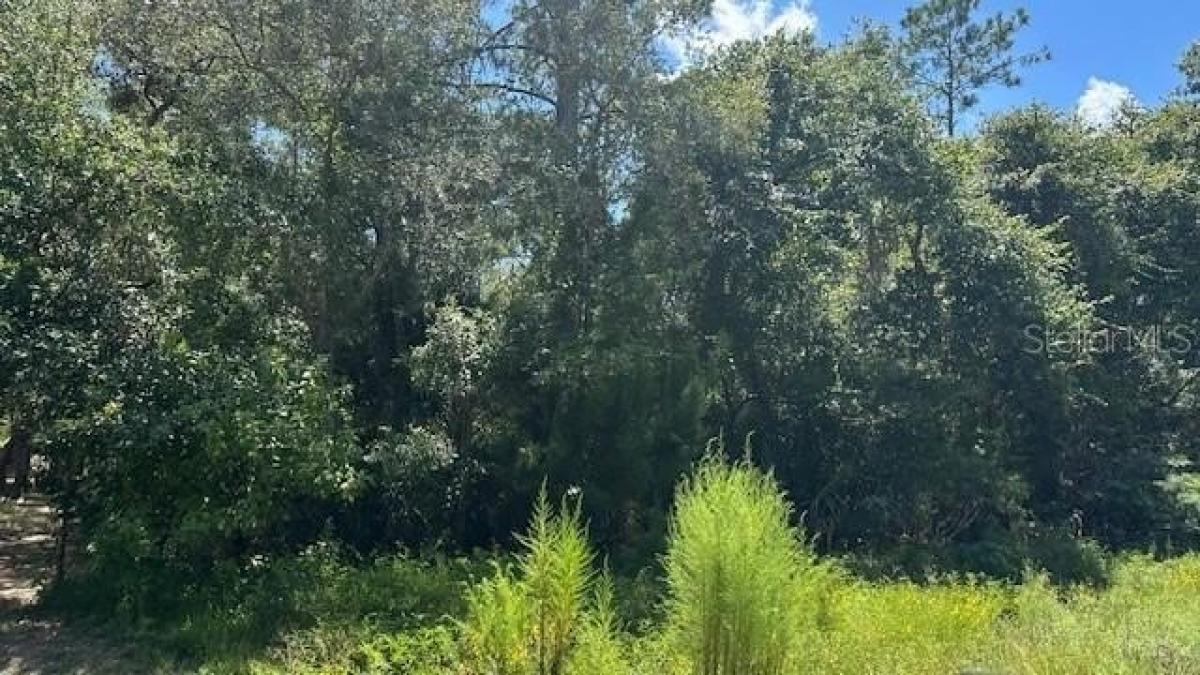 Picture of Residential Land For Sale in Bunnell, Florida, United States