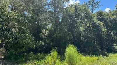 Residential Land For Sale in Bunnell, Florida