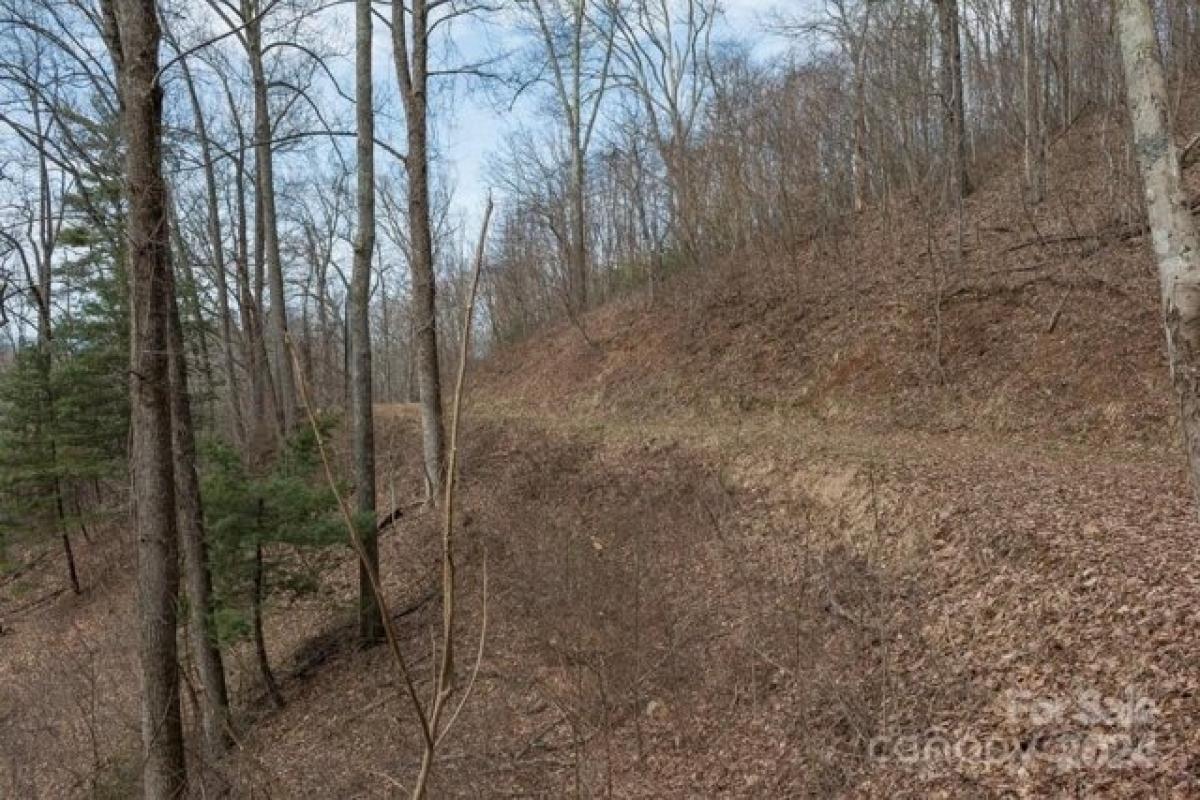 Picture of Residential Land For Sale in Asheville, North Carolina, United States