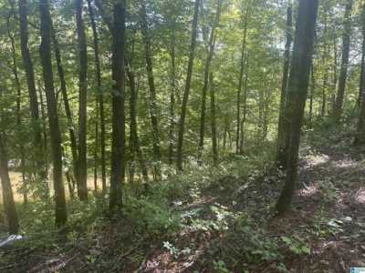 Residential Land For Sale in Alexander City, Alabama