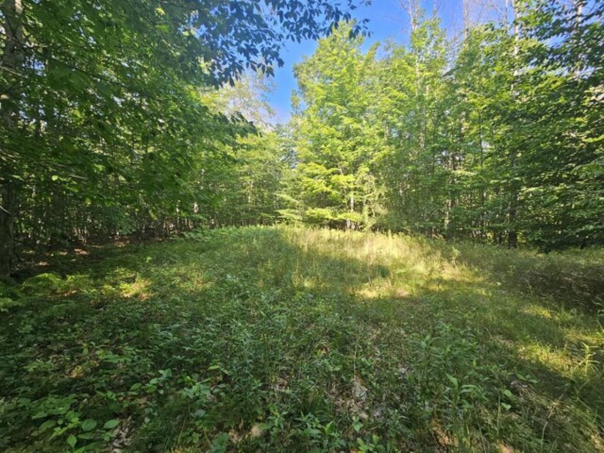 Picture of Residential Land For Sale in Germfask, Michigan, United States