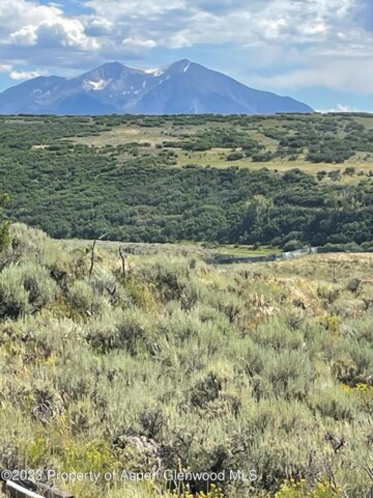 Picture of Residential Land For Sale in Carbondale, Colorado, United States