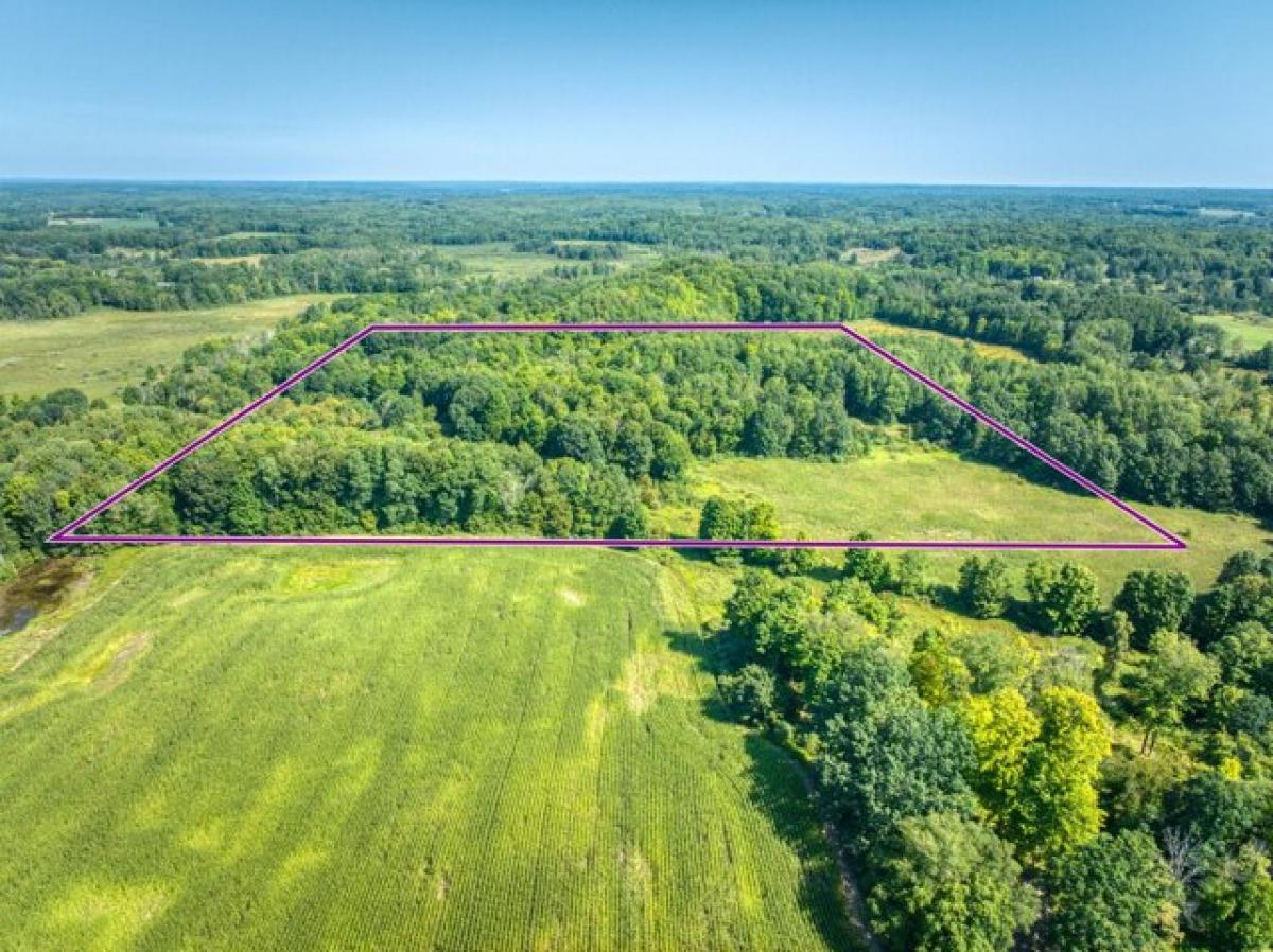 Picture of Residential Land For Sale in Rodney, Michigan, United States