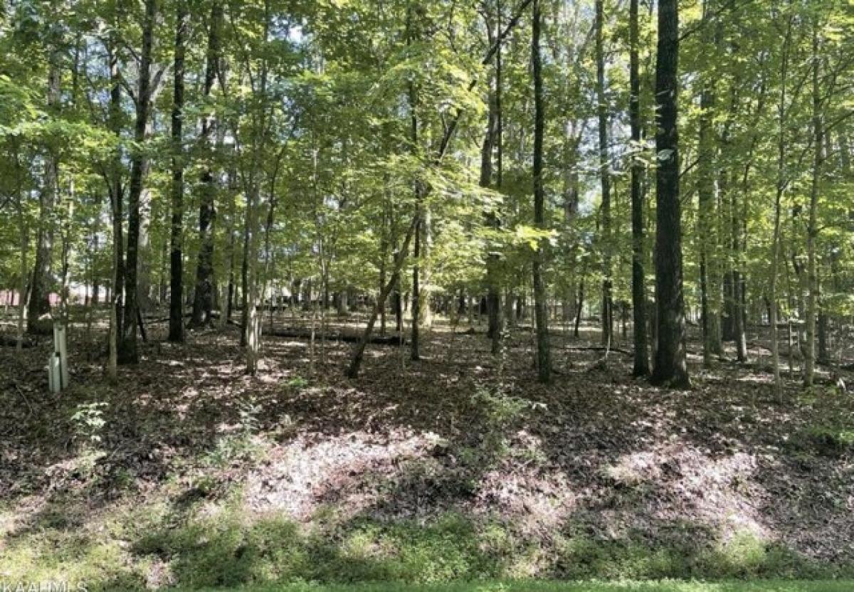 Picture of Residential Land For Sale in Loudon, Tennessee, United States