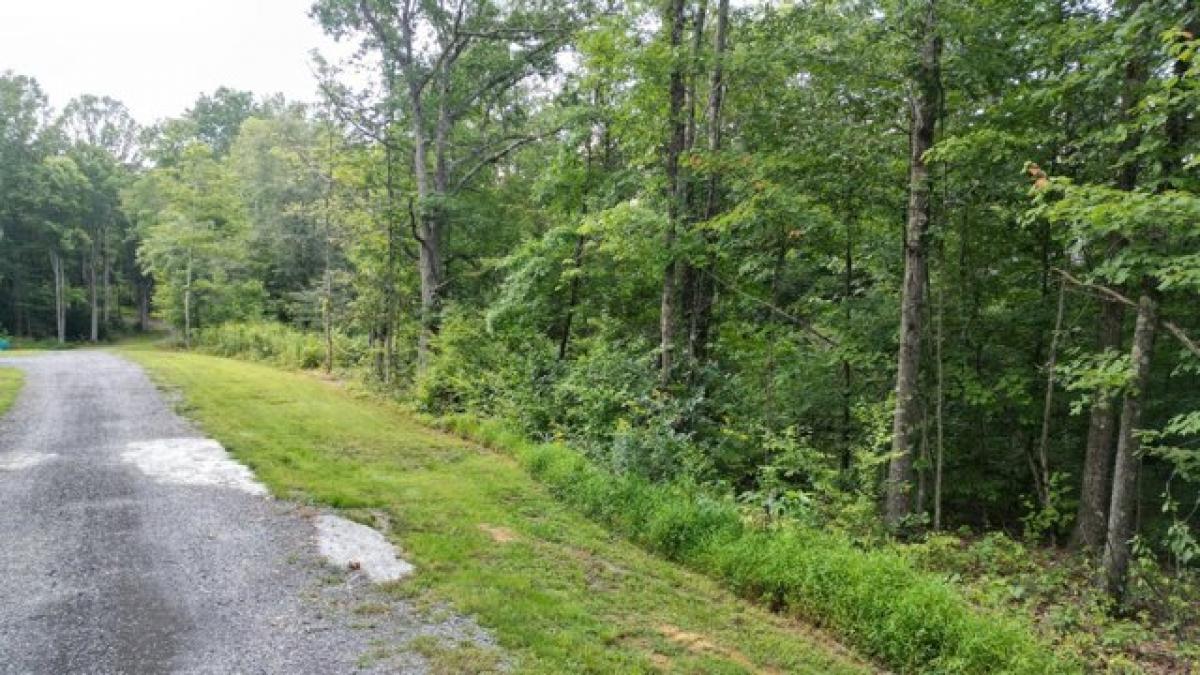 Picture of Residential Land For Sale in Summersville, West Virginia, United States