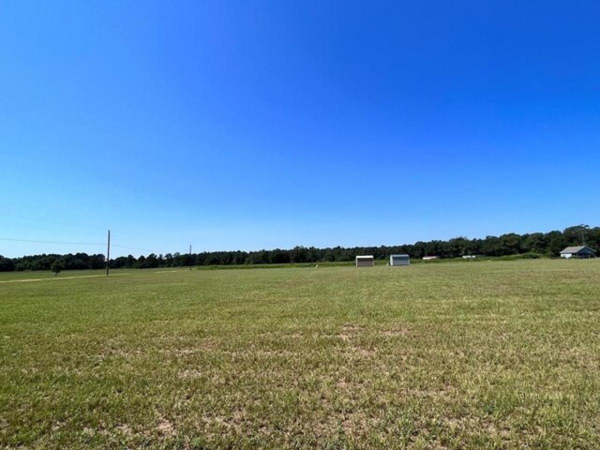 Picture of Residential Land For Sale in Picayune, Mississippi, United States