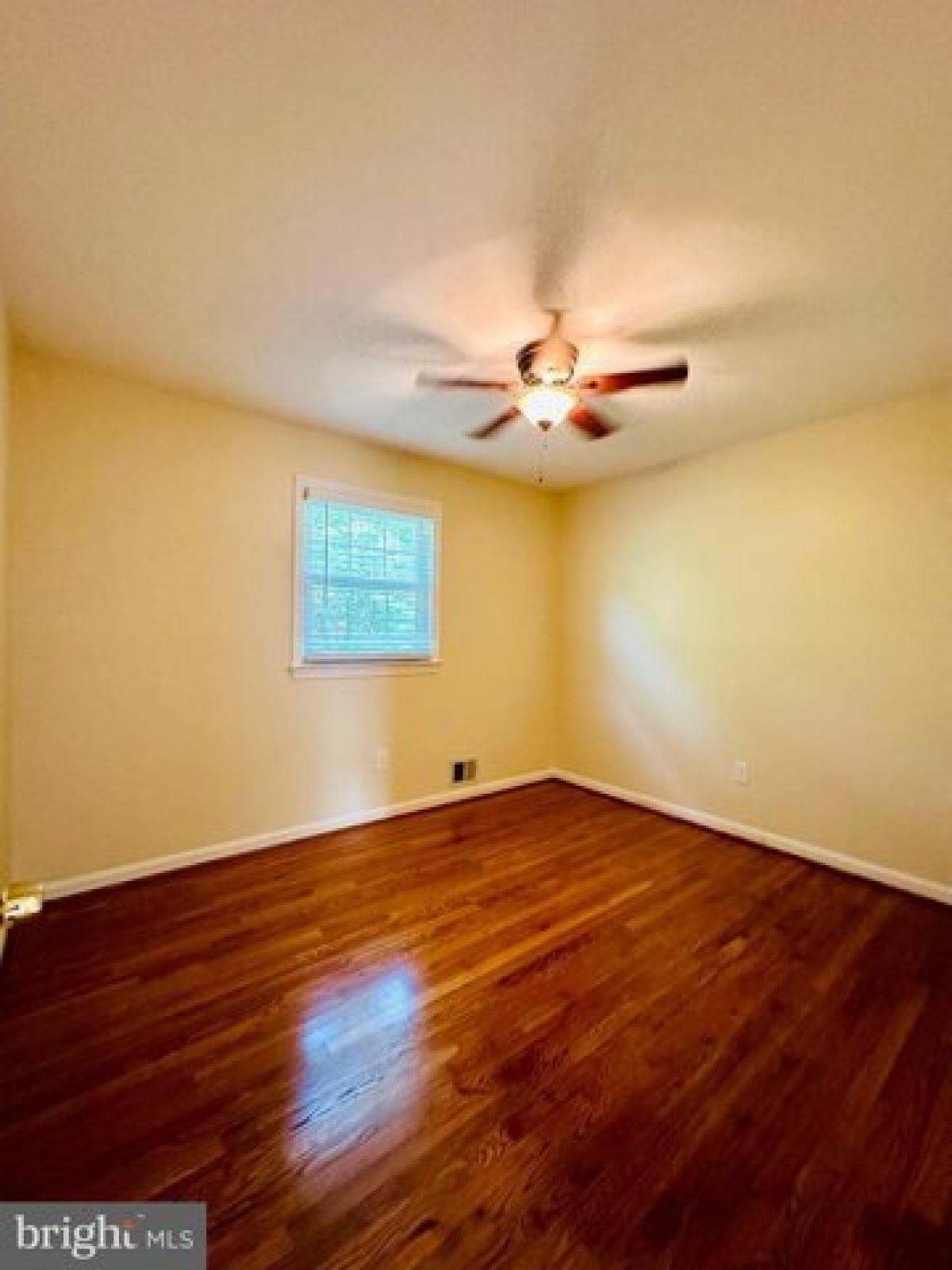 Picture of Home For Rent in Springfield, Virginia, United States