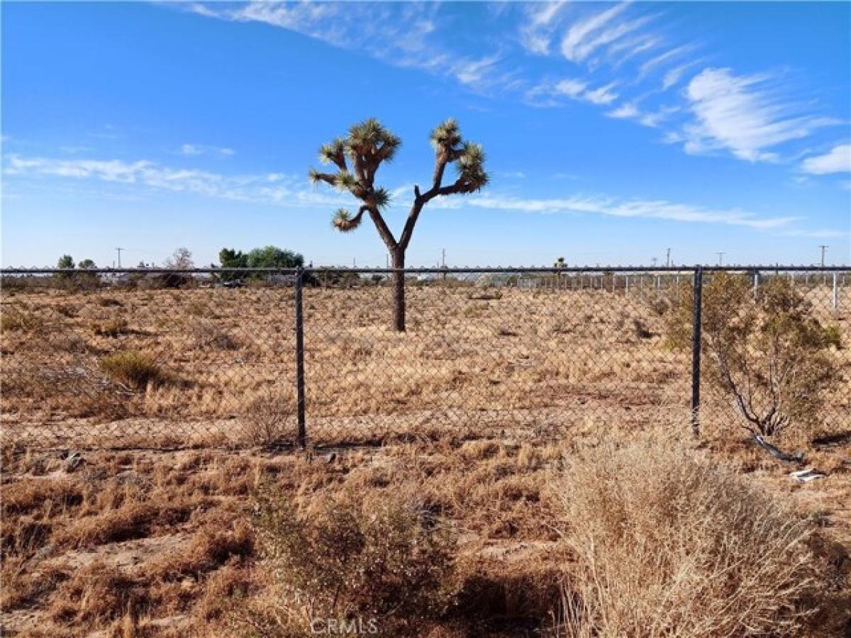 Picture of Residential Land For Sale in Phelan, California, United States