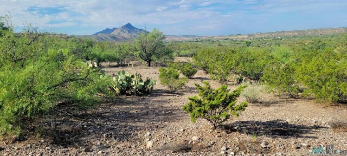 Picture of Residential Land For Sale in Elephant Butte, New Mexico, United States