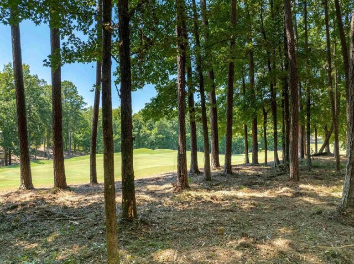 Picture of Residential Land For Sale in Greensboro, Georgia, United States