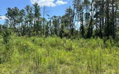 Residential Land For Sale in Live Oak, Florida