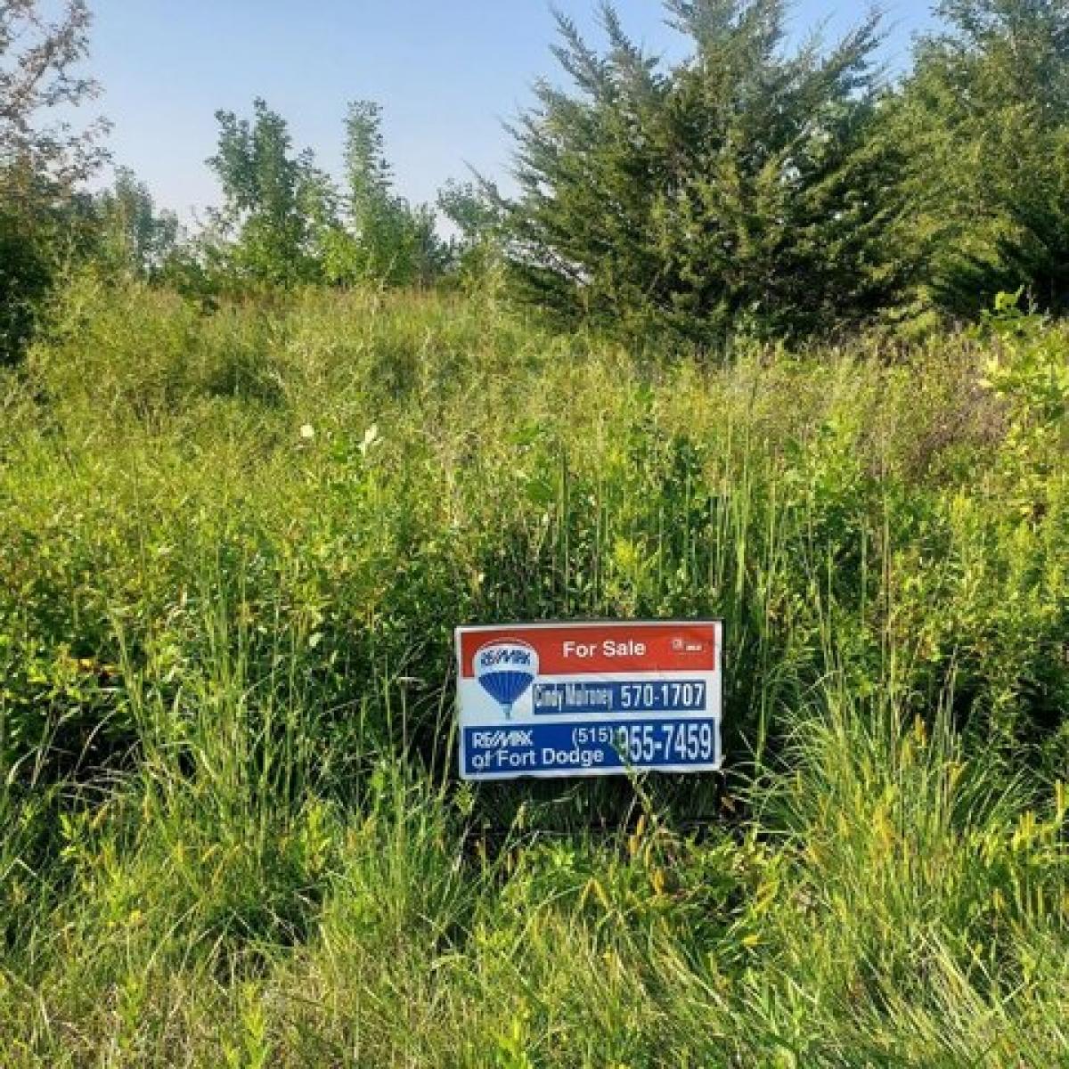 Picture of Residential Land For Sale in Fort Dodge, Iowa, United States