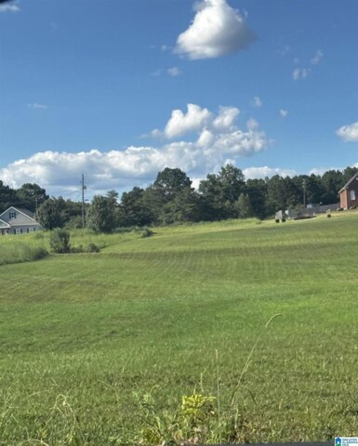 Picture of Residential Land For Sale in Bessemer, Alabama, United States