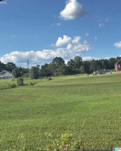 Residential Land For Sale in Bessemer, Alabama