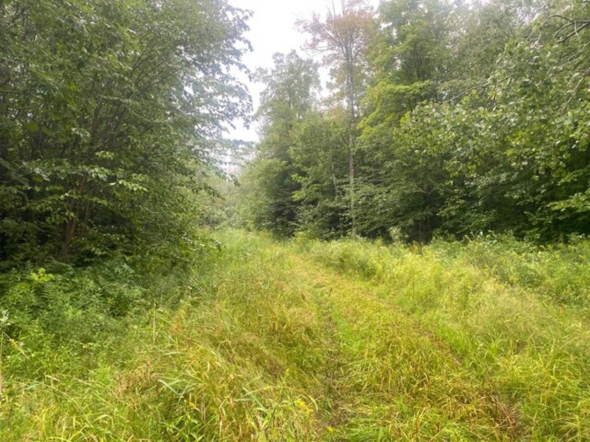 Picture of Residential Land For Sale in Catawba, Wisconsin, United States