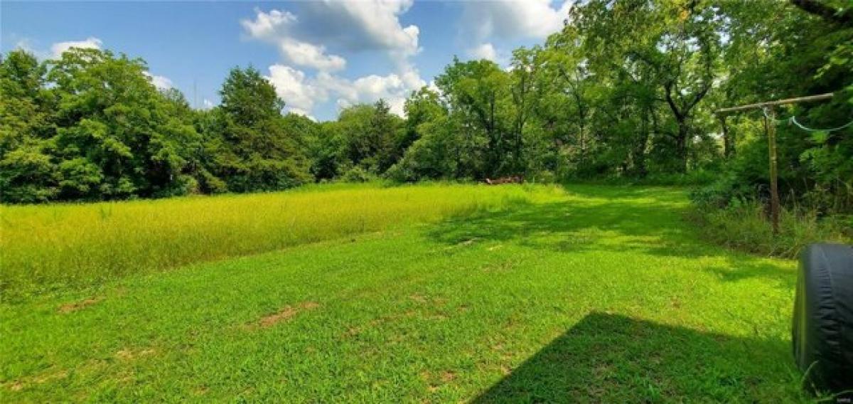 Picture of Home For Sale in Salem, Missouri, United States